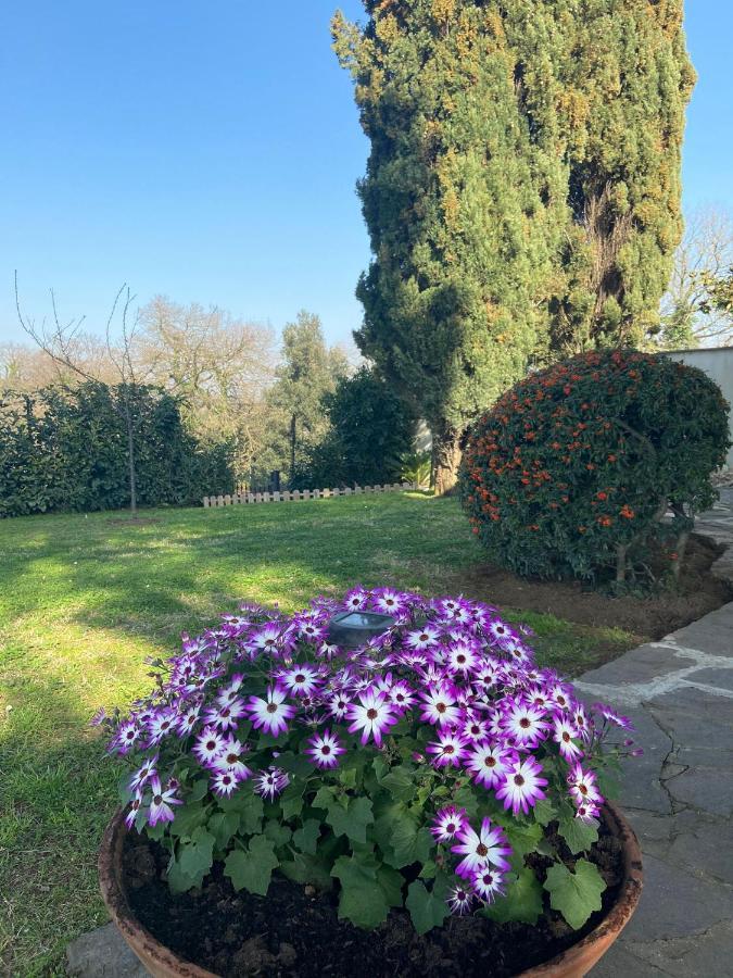 Villa Del Rubbio Rome Exterior photo